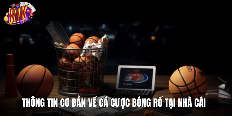 Thông tin cơ bản về cá cược bóng rổ tại nhà cái