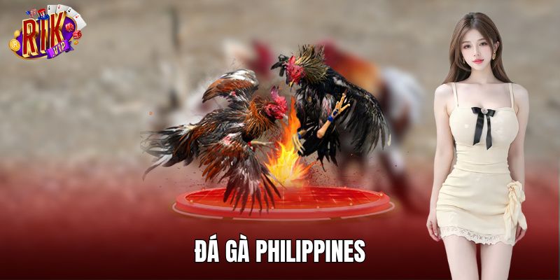 Đá Gà Philippines RIKVIP – Sân Chơi Quy Tụ Chiến Kê Xuất Sắc