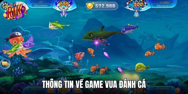 Vài thông tin hay ho về trò chơi Vua Đánh Cá